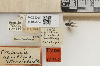 Media type: image;   Entomology 15064 Aspect: Labels